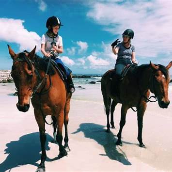The Dunes Horse Rides - Image 2